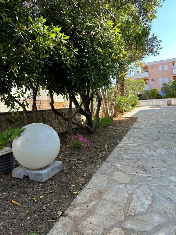 Apartmani Marko 노바야 외부 사진