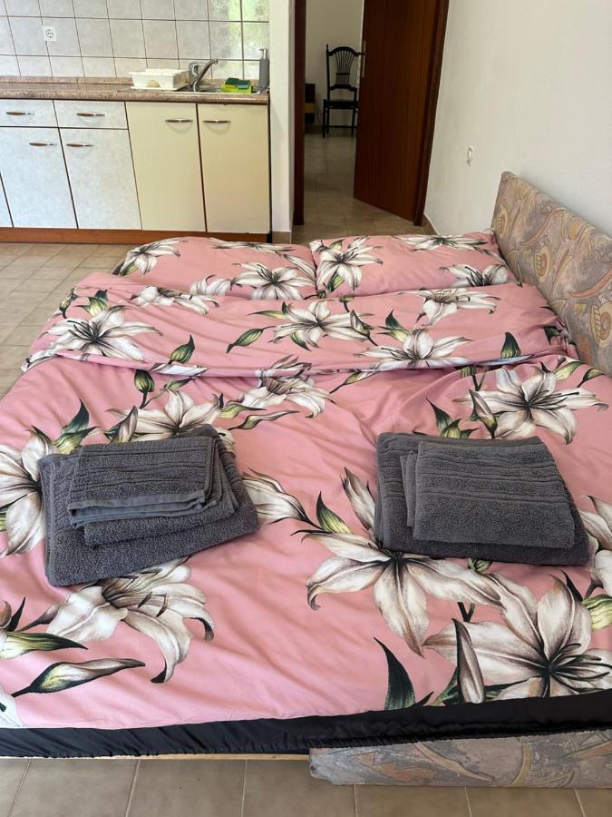 Apartmani Marko 노바야 외부 사진